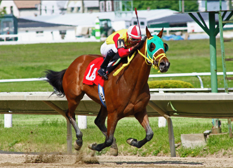 The Role of Jockeys: How They Help Racehorses Win