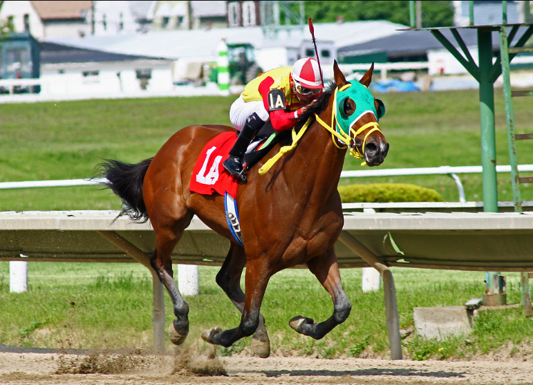 The Role of Jockeys: How They Help Racehorses Win
