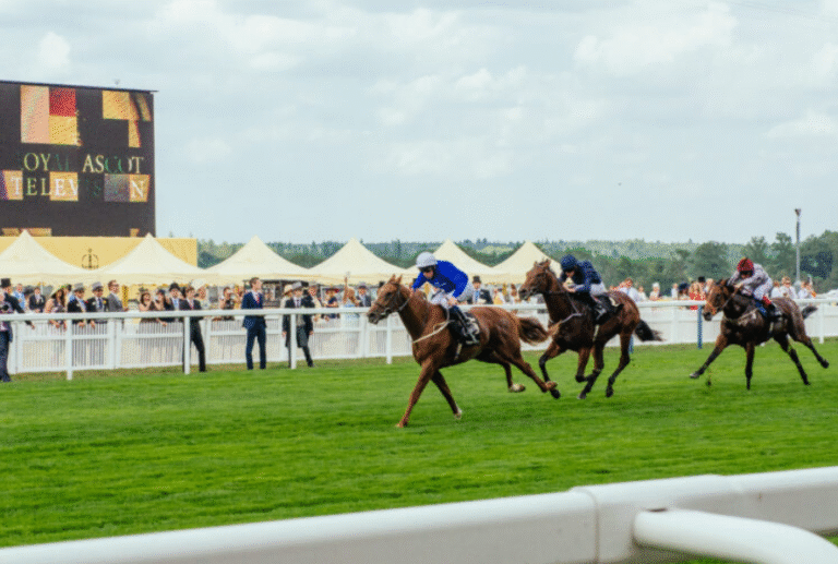The Role of Owners in Horse Racing: What Do They Do and How Do They Profit?
