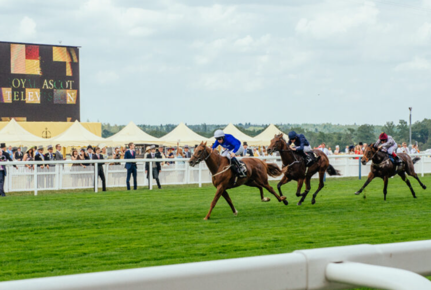 The Role of Owners in Horse Racing: What Do They Do and How Do They Profit?