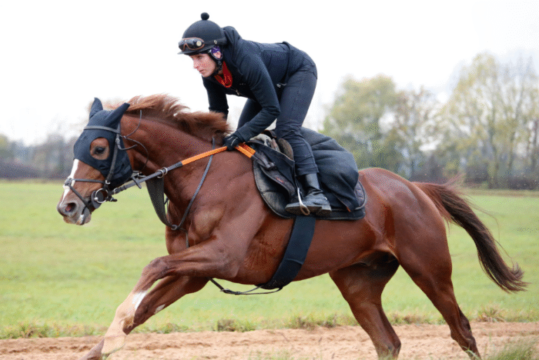 The Science Behind Horse Racing Injuries: Prevention and Recovery