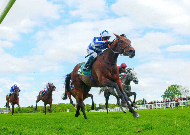 The Science of Horse Racing: What Makes a Winning Horse?